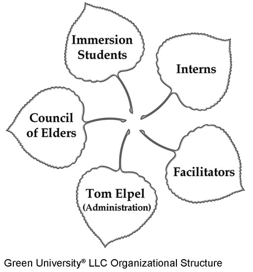 Green University Organizational Structure.