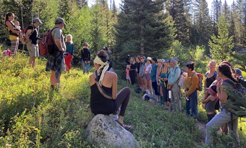 Botany and Foraging Intensive class.