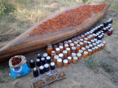 Jars of wild canned fruit by our canoe.