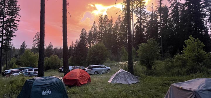 Botany class campsite.