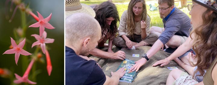 Students play botany card games with Shanleya's Quest 2.