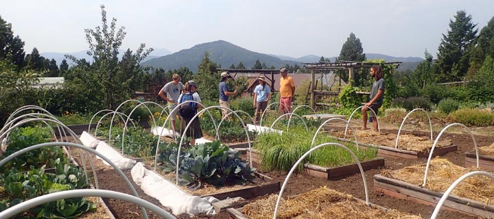 High altitude permaculture garden.