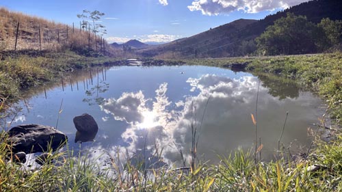 Permaculture Pond.